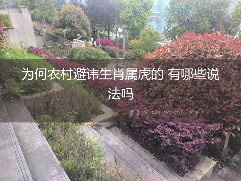 為何農村避諱生肖屬虎的 有哪些說法嗎