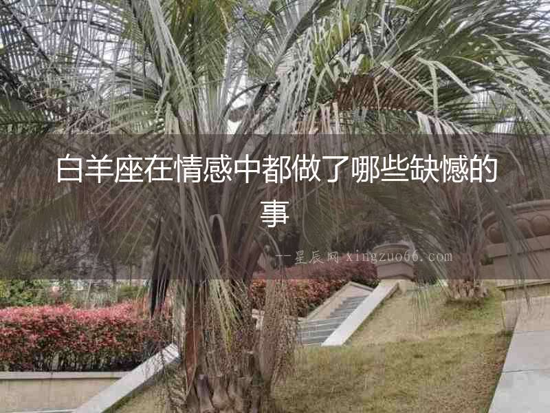 白羊座在情感中都做了哪些缺憾的事