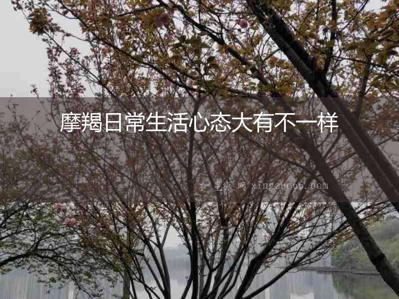 摩羯日常生活心態大有不一樣