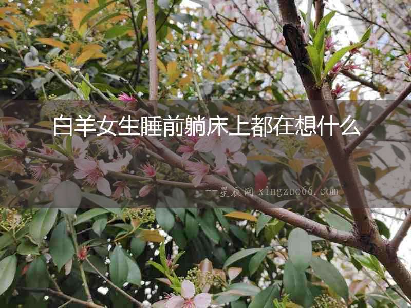 白羊女生睡前躺床上都在想什么