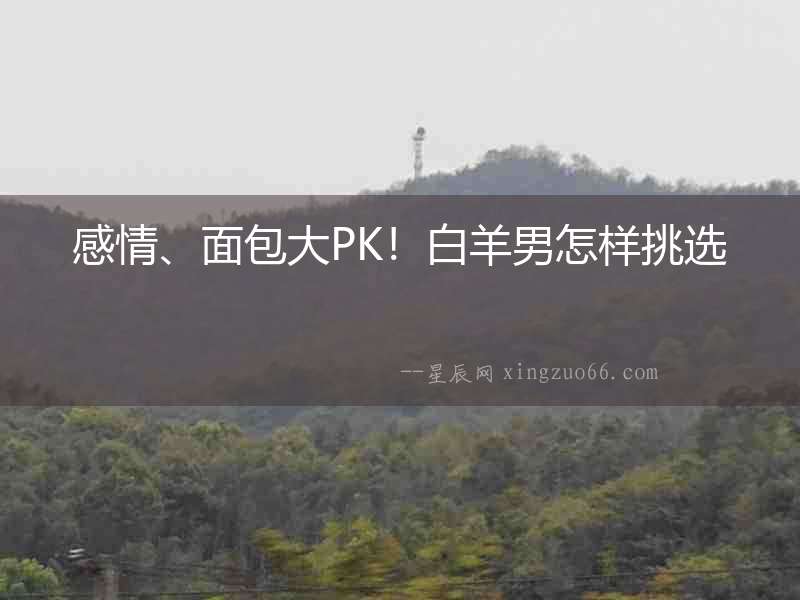 感情、面包大PK！白羊男怎樣挑選