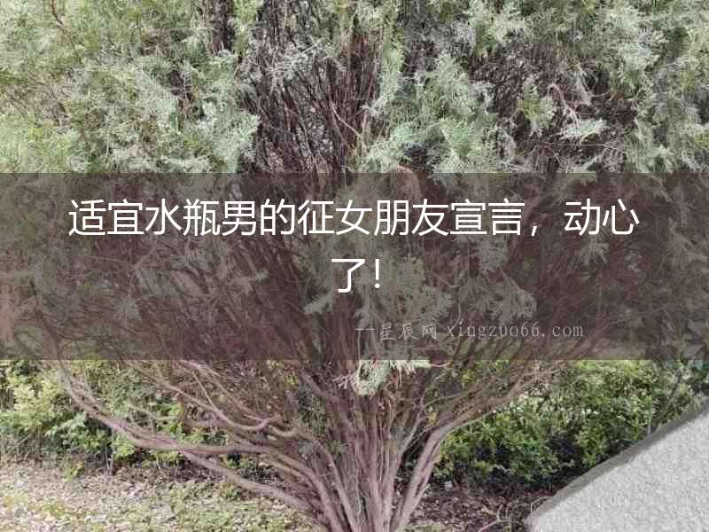 適宜水瓶男的征女朋友宣言，動(dòng)心了！
