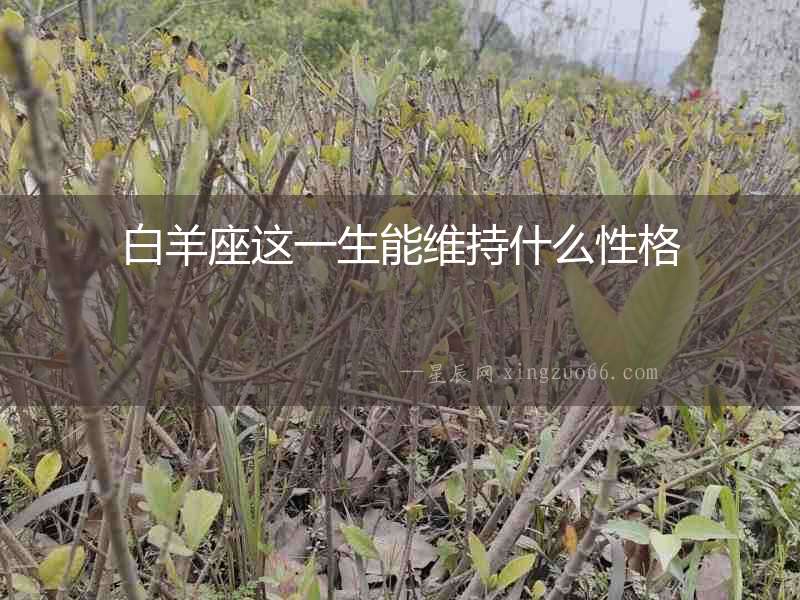 白羊座這一生能維持什么性格