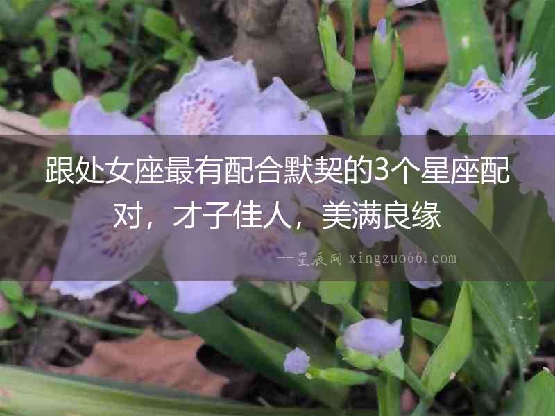 跟處女座最有配合默契的3個星座配對，才子佳人，美滿良緣