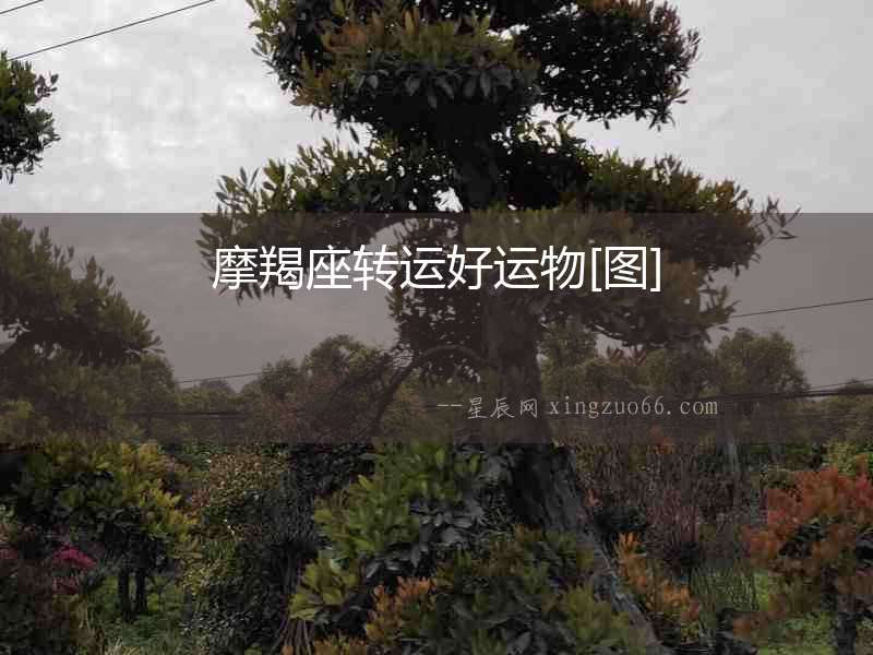 摩羯座轉運好運物[圖]