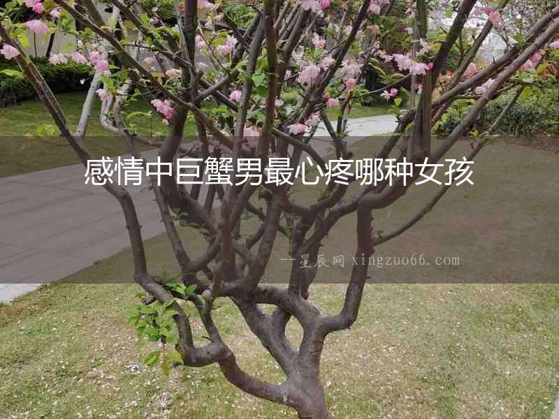 感情中巨蟹男最心疼哪種女孩