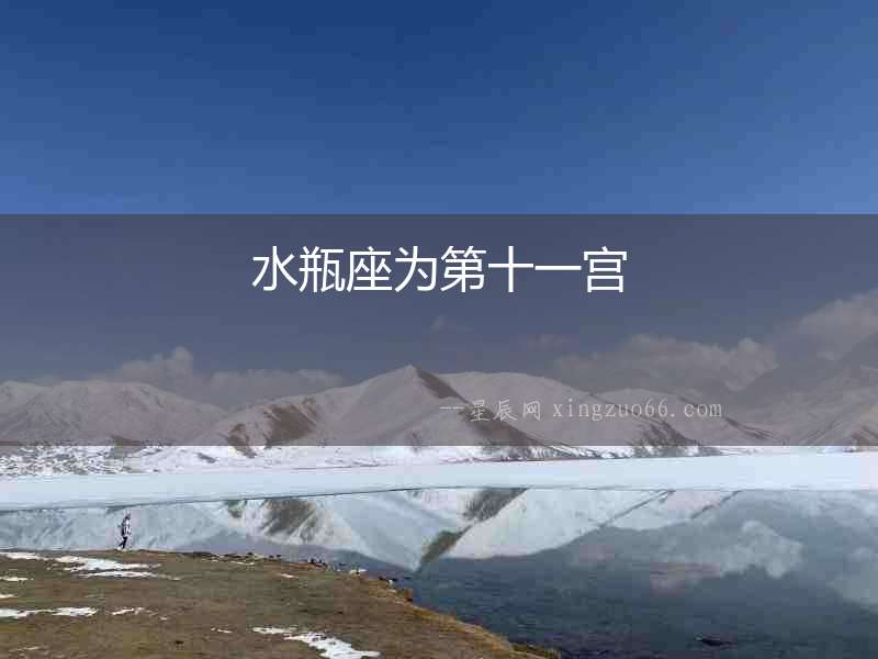 水瓶座為第十一宮