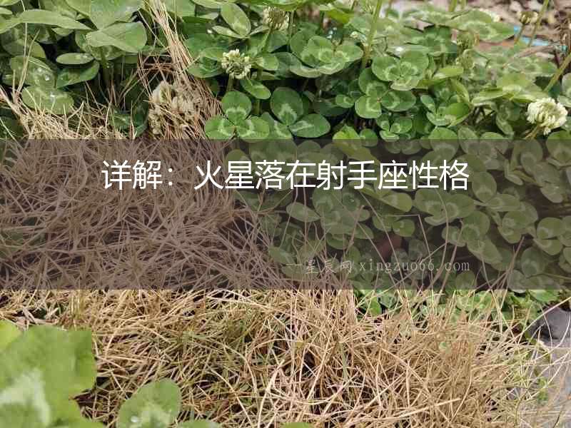 詳解：火星落在射手座性格