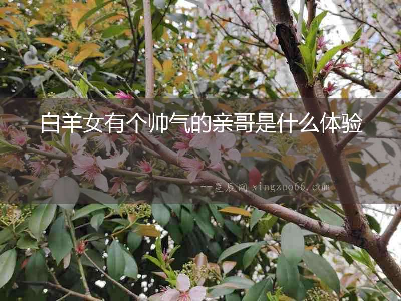 白羊女有個帥氣的親哥是什么體驗