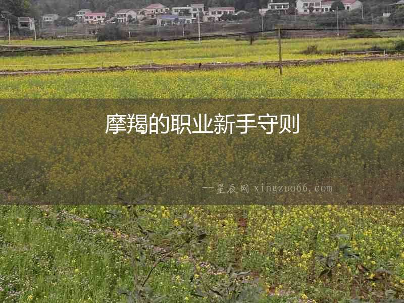 摩羯的職業新手守則