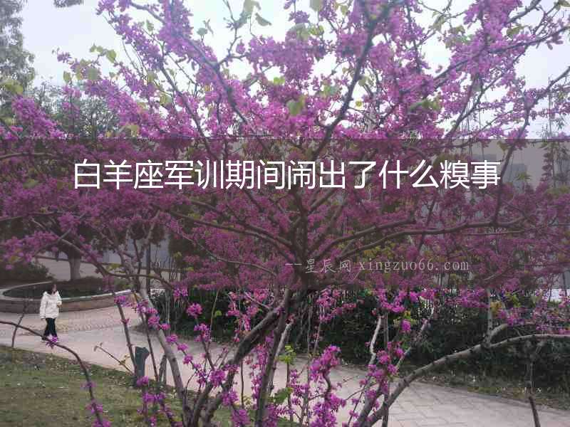 白羊座軍訓期間鬧出了什么糗事