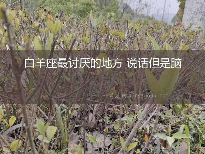 白羊座最討厭的地方 說話但是腦