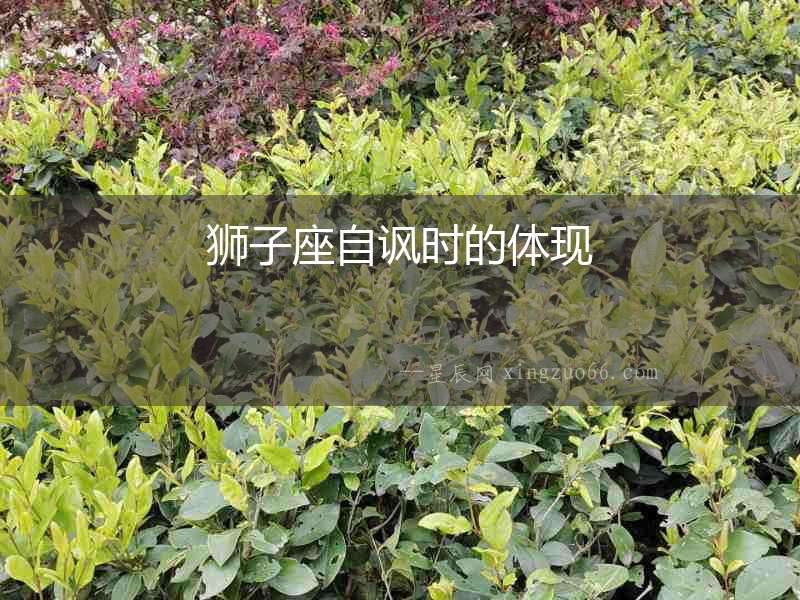 獅子座自諷時的體現