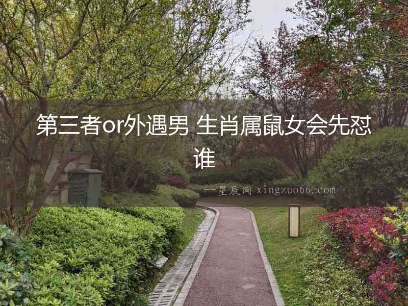 第三者or外遇男 生肖屬鼠女會先懟誰