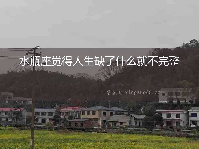 水瓶座覺得人生缺了什么就不完整
