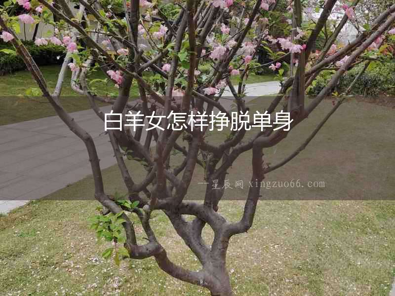 白羊女怎樣掙脫單身