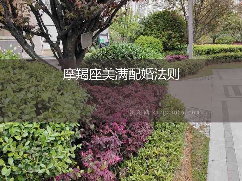 摩羯座美滿配婚法則