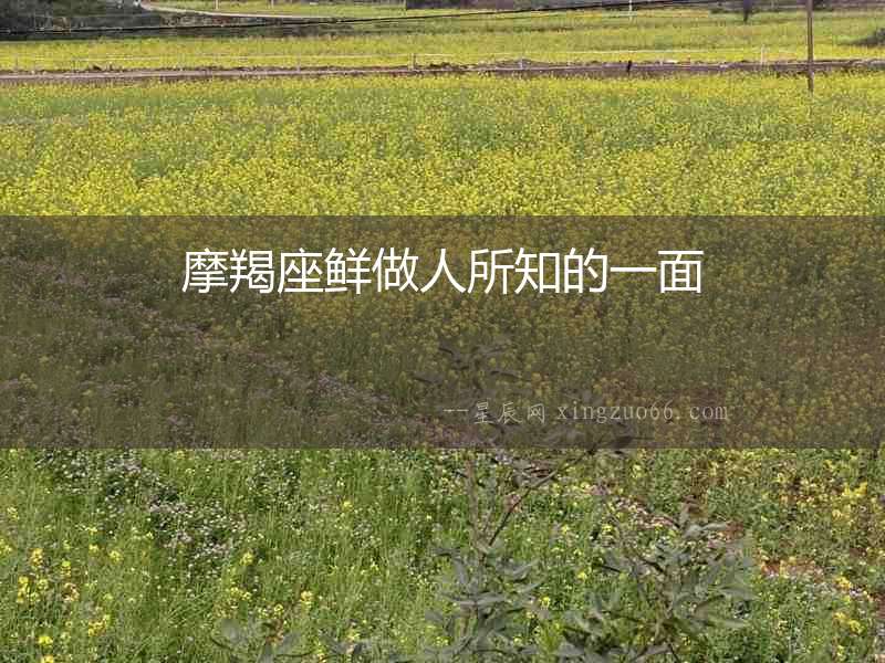 摩羯座鮮做人所知的一面