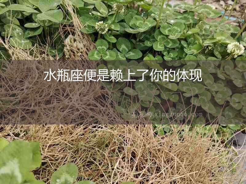 水瓶座便是賴上了你的體現