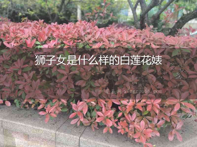 獅子女是什么樣的白蓮花婊