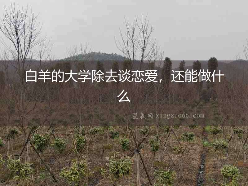 白羊的大學除去談戀愛，還能做什么