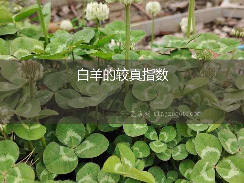 白羊的較真指數(shù)