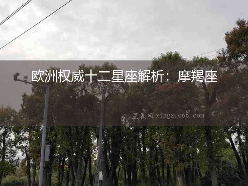 歐洲權威十二星座解析：摩羯座