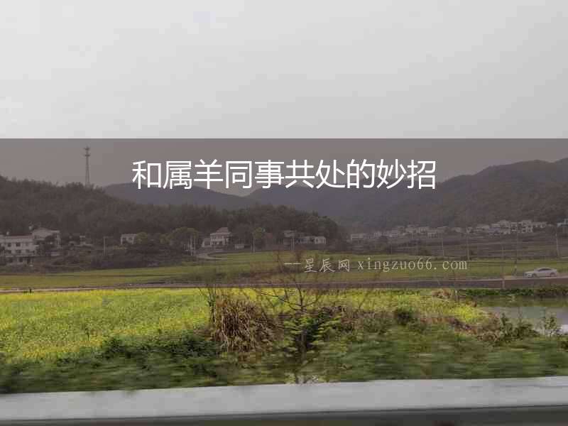 和屬羊同事共處的妙招