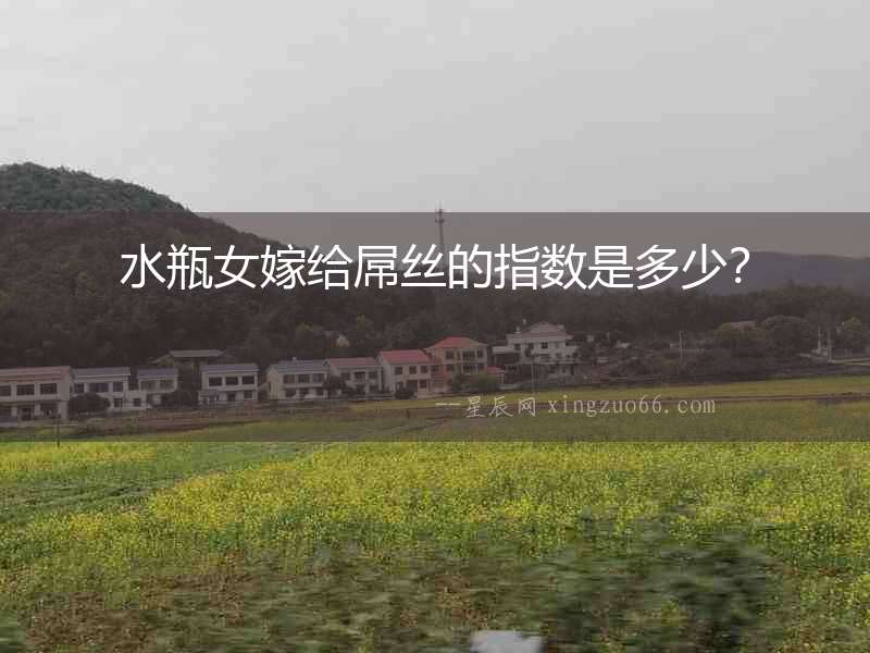 水瓶女嫁給屌絲的指數(shù)是多少？