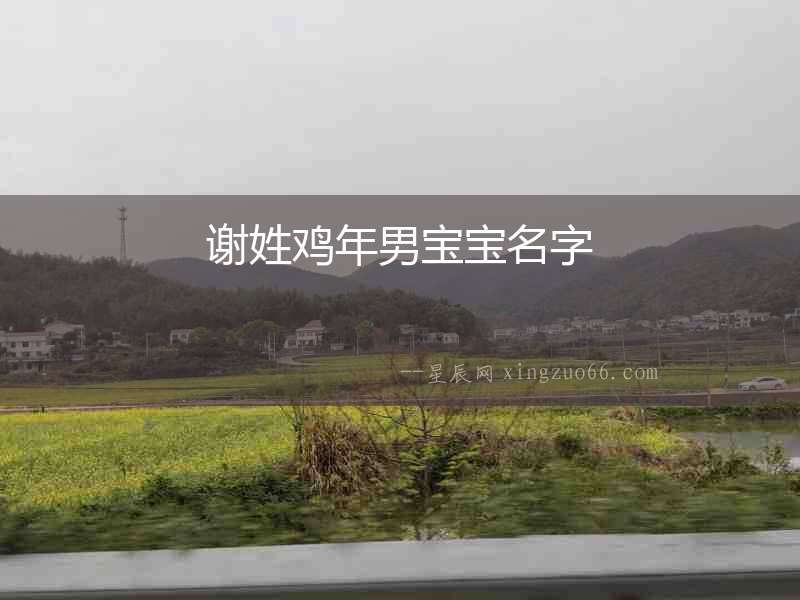 謝姓雞年男寶寶名字
