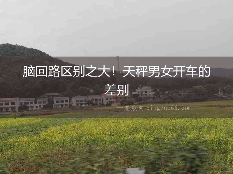 腦回路區別之大！天秤男女開車的差別