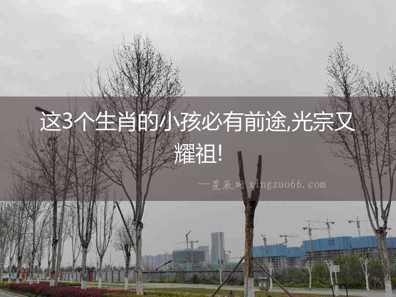 這3個生肖的小孩必有前途,光宗又耀祖!