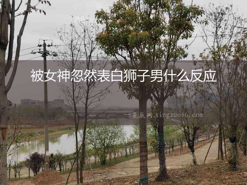 被女神忽然表白獅子男什么反應