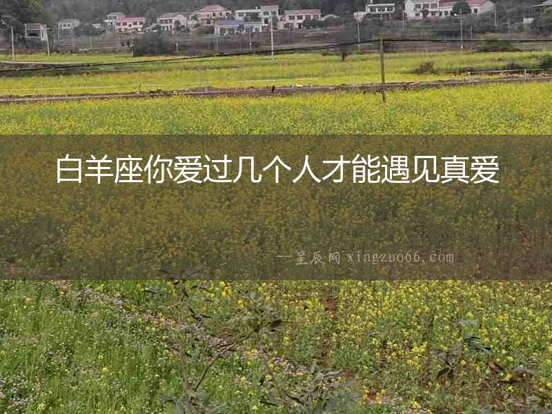 白羊座你愛過幾個人才能遇見真愛