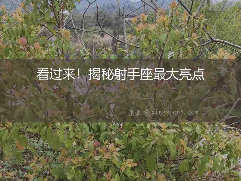 看過來！揭秘射手座最大亮點