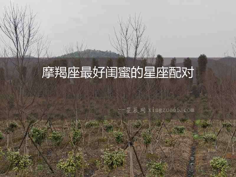 摩羯座最好閨蜜的星座配對