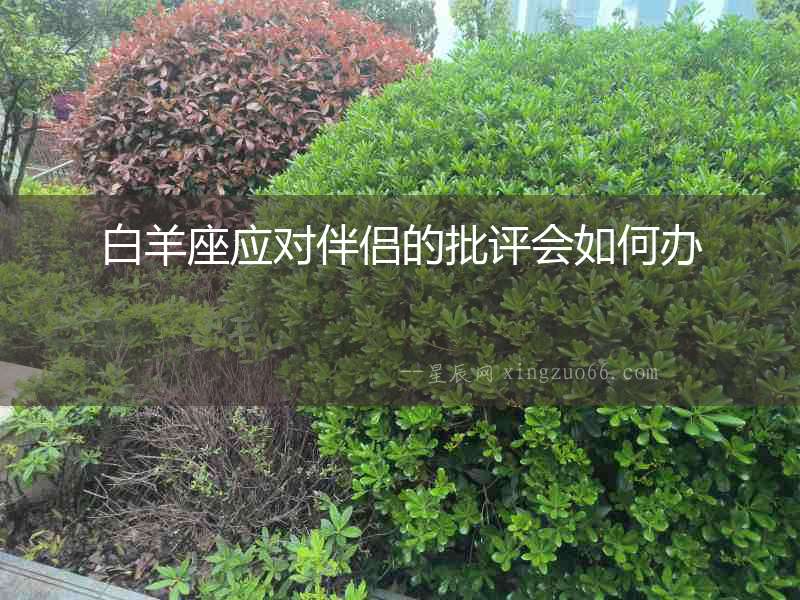 白羊座應對伴侶的批評會如何辦