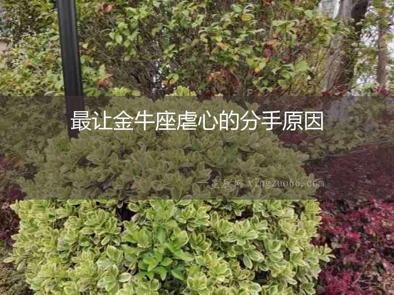 最讓金牛座虐心的分手原因