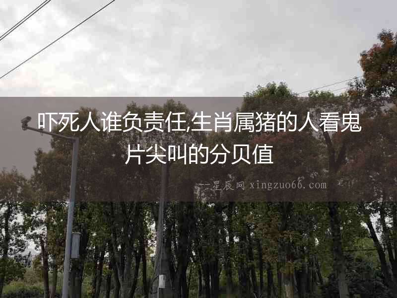 嚇死人誰負責任,生肖屬豬的人看鬼片尖叫的分貝值