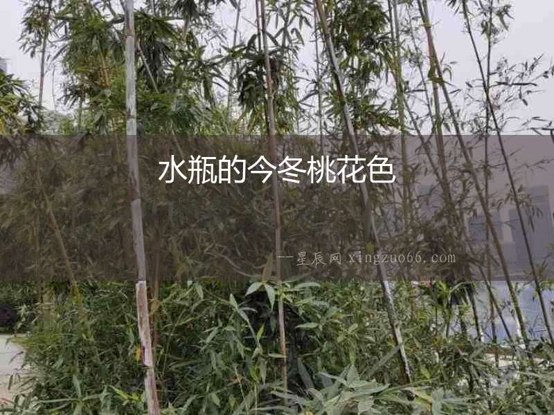 水瓶的今冬桃花色