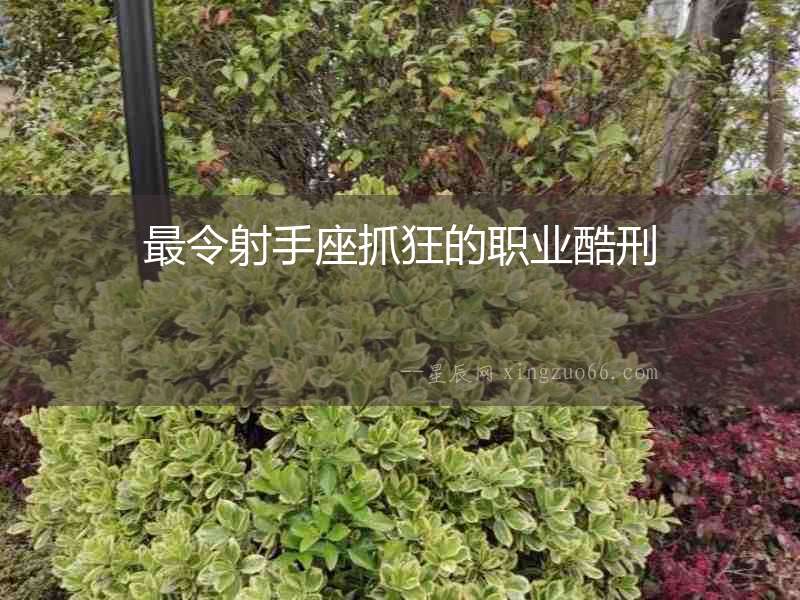 最令射手座抓狂的職業酷刑