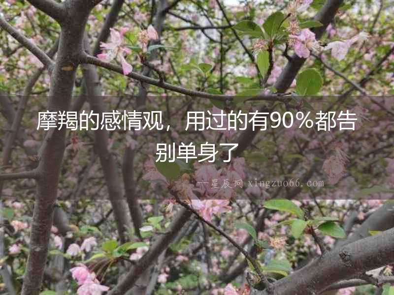 摩羯的感情觀，用過的有90％都告別單身了
