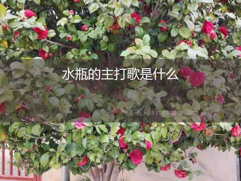水瓶的主打歌是什么