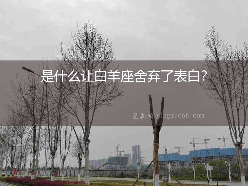 是什么讓白羊座舍棄了表白？