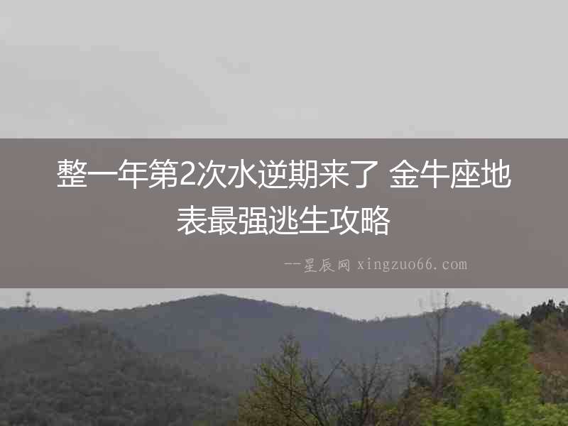 整一年第2次水逆期來了 金牛座地表最強逃生攻略
