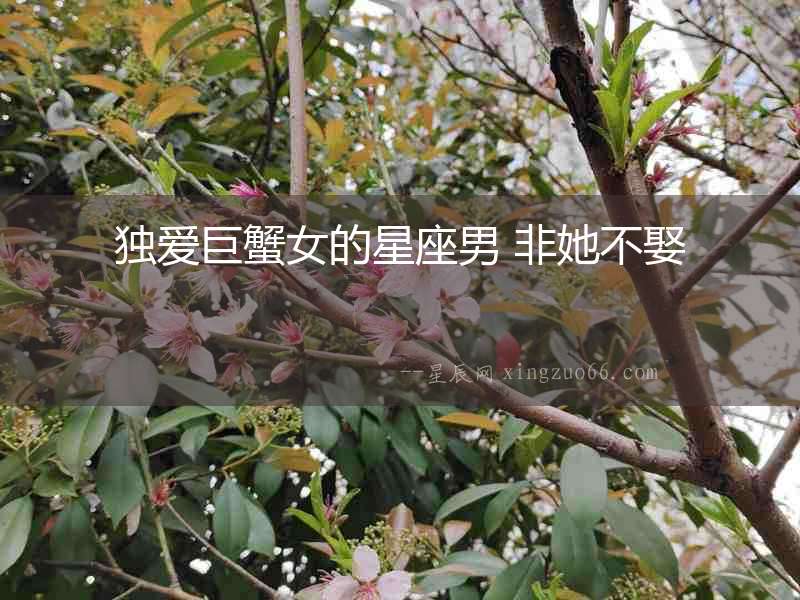 獨愛巨蟹女的星座男 非她不娶