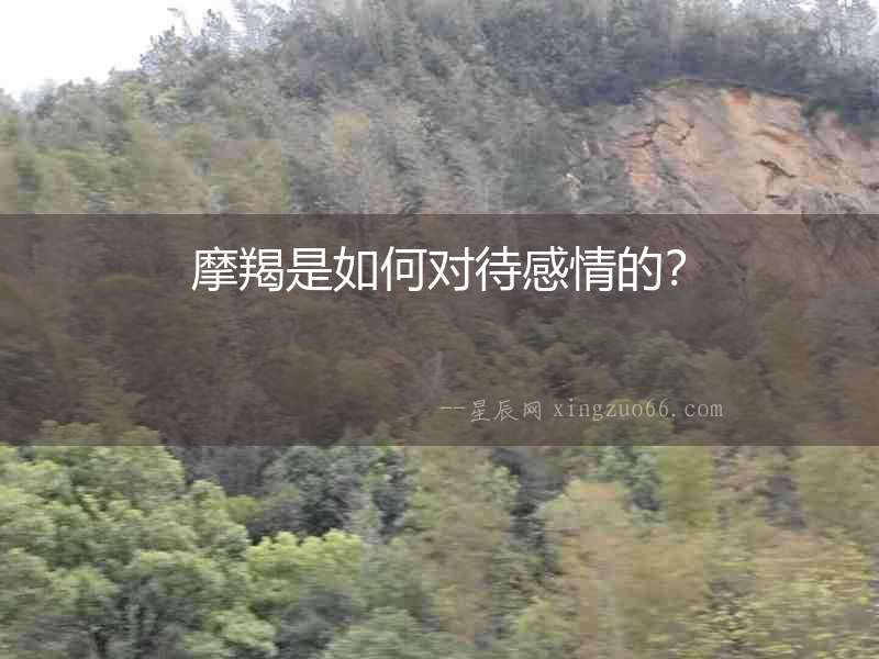 摩羯是如何對待感情的？
