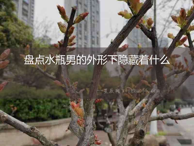 盤點(diǎn)水瓶男的外形下隱藏著什么