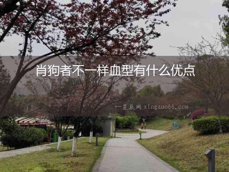肖狗者不一樣血型有什么優(yōu)點(diǎn)