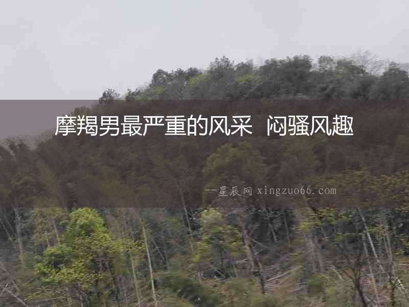 摩羯男最嚴重的風采  悶騷風趣